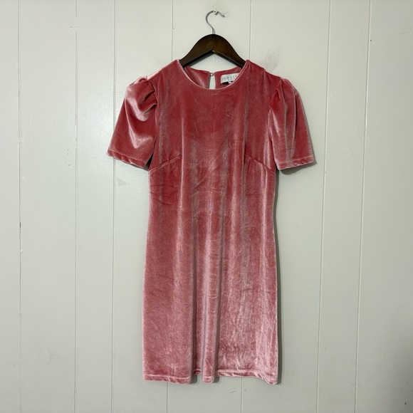 Wayf Dresses & Skirts - WAYF Pink Velvet Puff Sleeve Shift Mini Dress XS | Romantic Blush